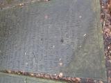 image of grave number 810507